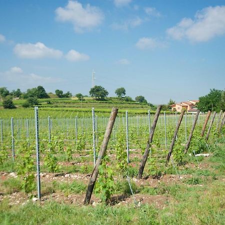Agriturismo Albarello Sona Bagian luar foto