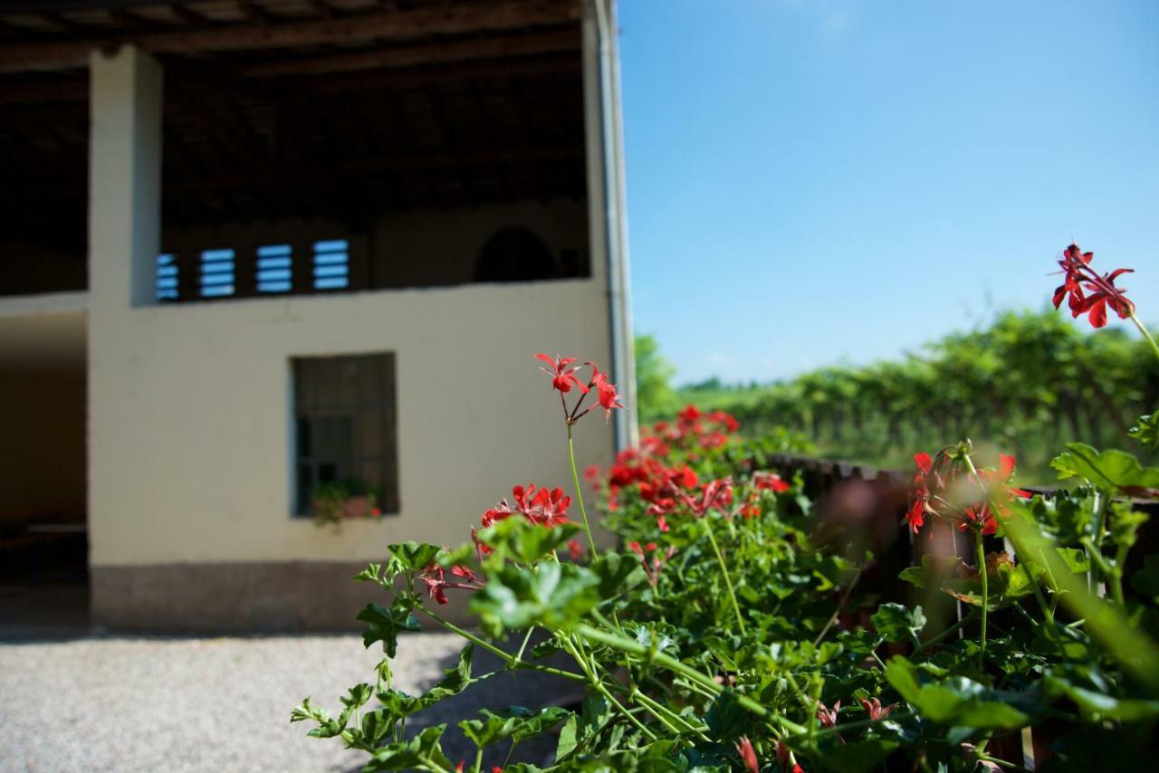 Agriturismo Albarello Sona Bagian luar foto