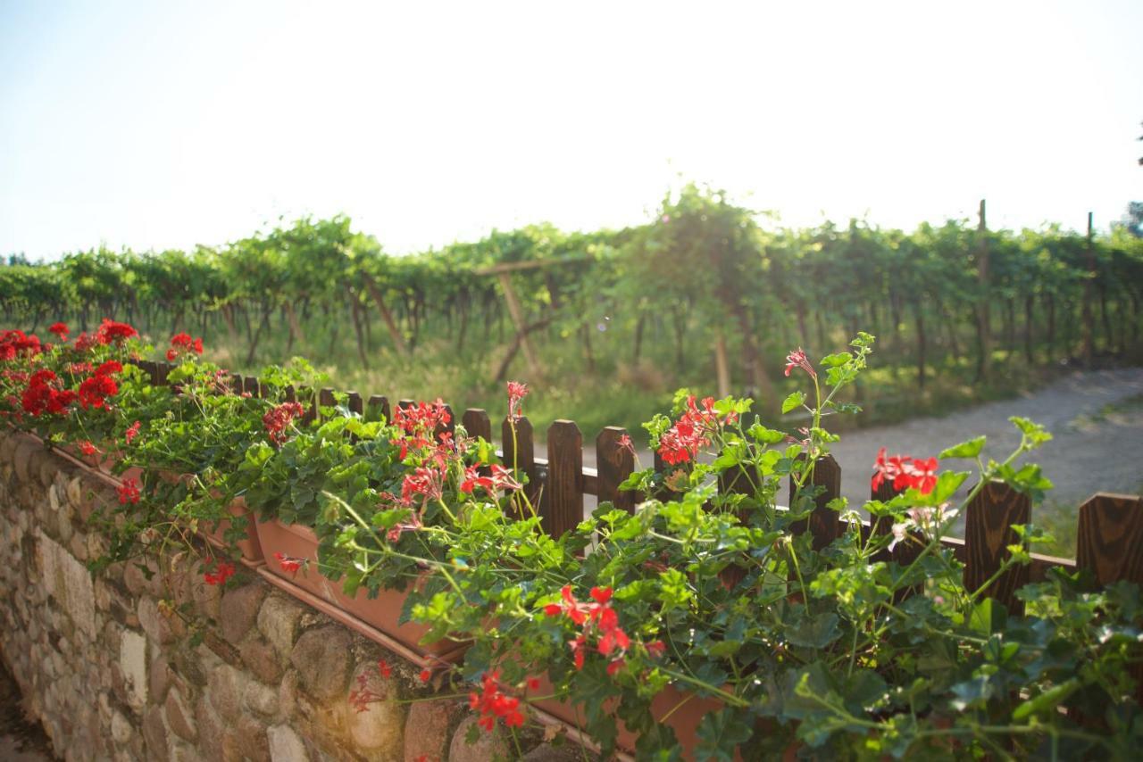 Agriturismo Albarello Sona Bagian luar foto